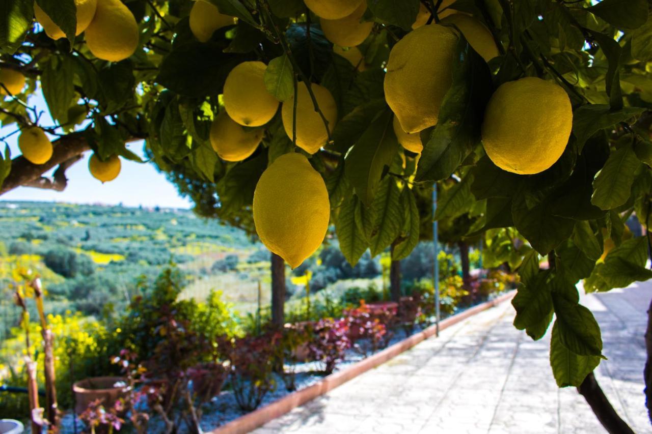 AELIA HOME, Elia Heraklion Dış mekan fotoğraf