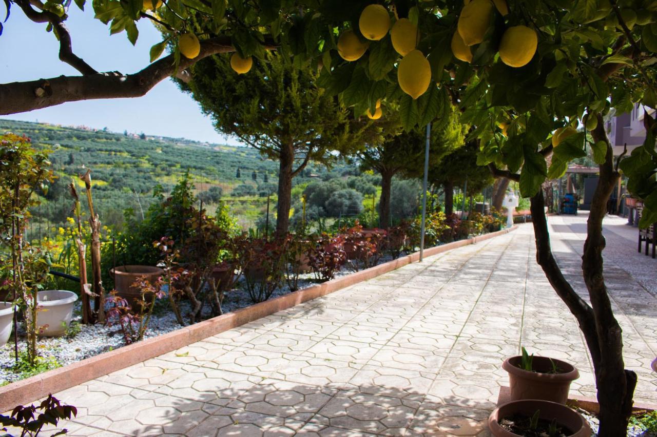 AELIA HOME, Elia Heraklion Dış mekan fotoğraf