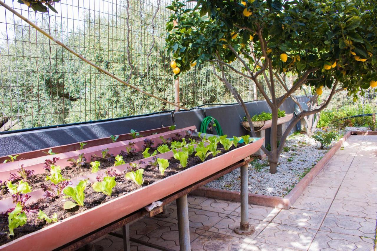 AELIA HOME, Elia Heraklion Dış mekan fotoğraf